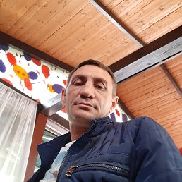 Ovik, �����-���������, 48 ���