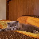 ���� �����, ������, 59 ��� - ��������� 21 ������� 2019 � ������ ���� ����������