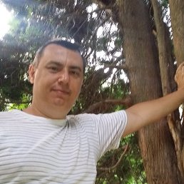 ������, ������, 42 ����