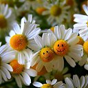 ���� ������, ������ - ��������� 27 ��� 2019 � ������ ������ ��������