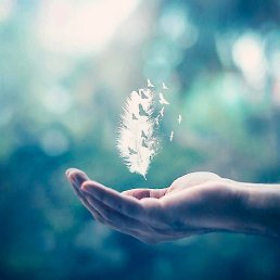 ����, ��������, 48 ���