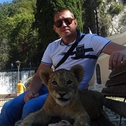 ������, ����������, 46 ���