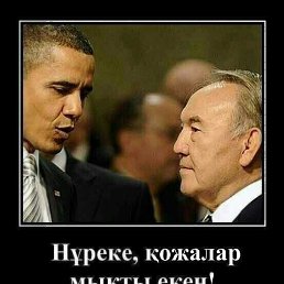 �����, �������������, 48 ���