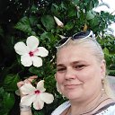 ���� �����, ���������, 55 ��� - ��������� 5 ������� 2019 � ������ ������ ��������