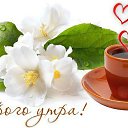 ���� �������@, �������� - ��������� 24 ������� 2019 � ������ ������ ��������