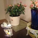 ���� �����, �����, 51 ��� - ��������� 1 �������� 2019 � ������ ���� ����������