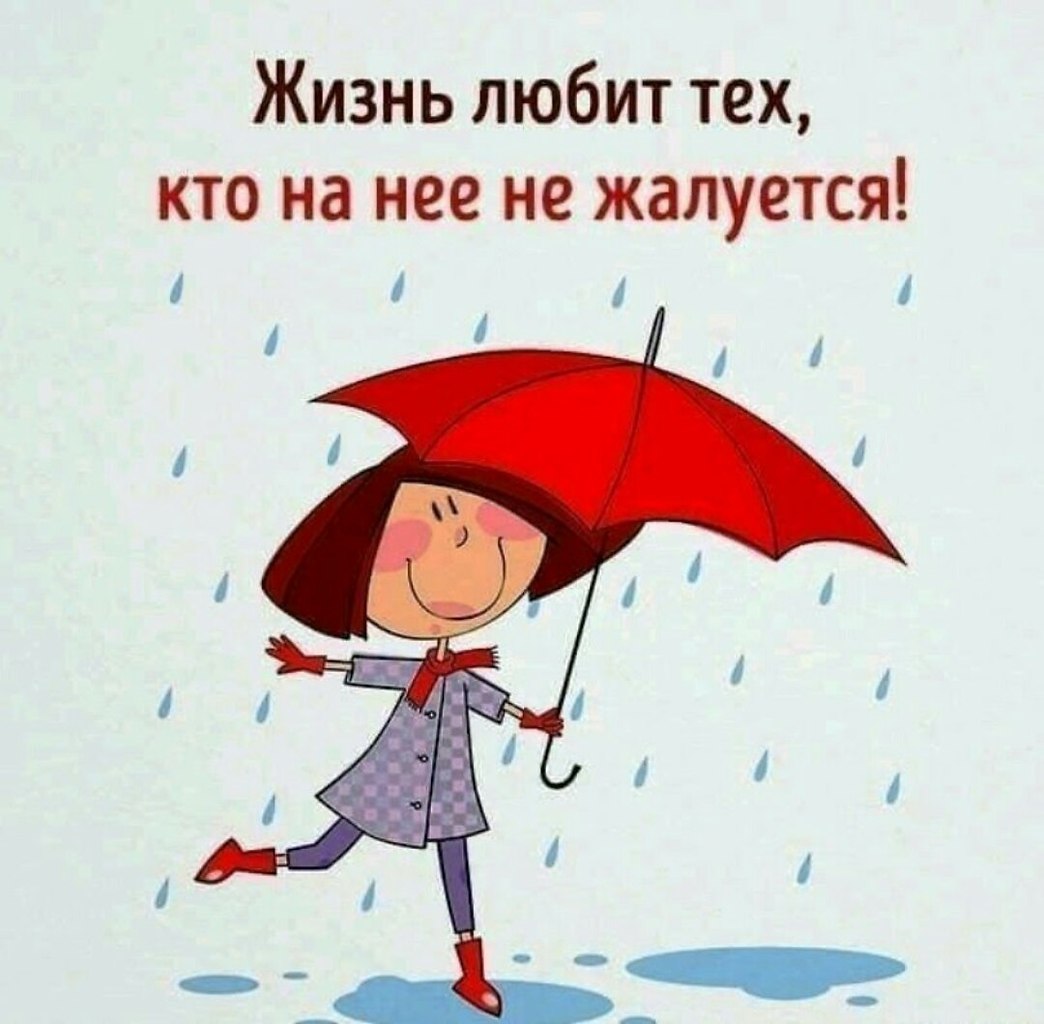   ,    . - 1  2019  10:30