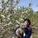 ���� ����, ������-��-����, 52 ���� - ��������� 2 ��� 2019 � ������ ���� ����������