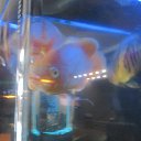 ���� ������, ���������, 54 ���� - ��������� 25 ���� 2019 � ������ �PetLove�