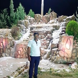 Arif, ��������, 44 ����