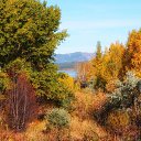 ���� ���, ������, 43 ���� - ��������� 8 ������� 2019