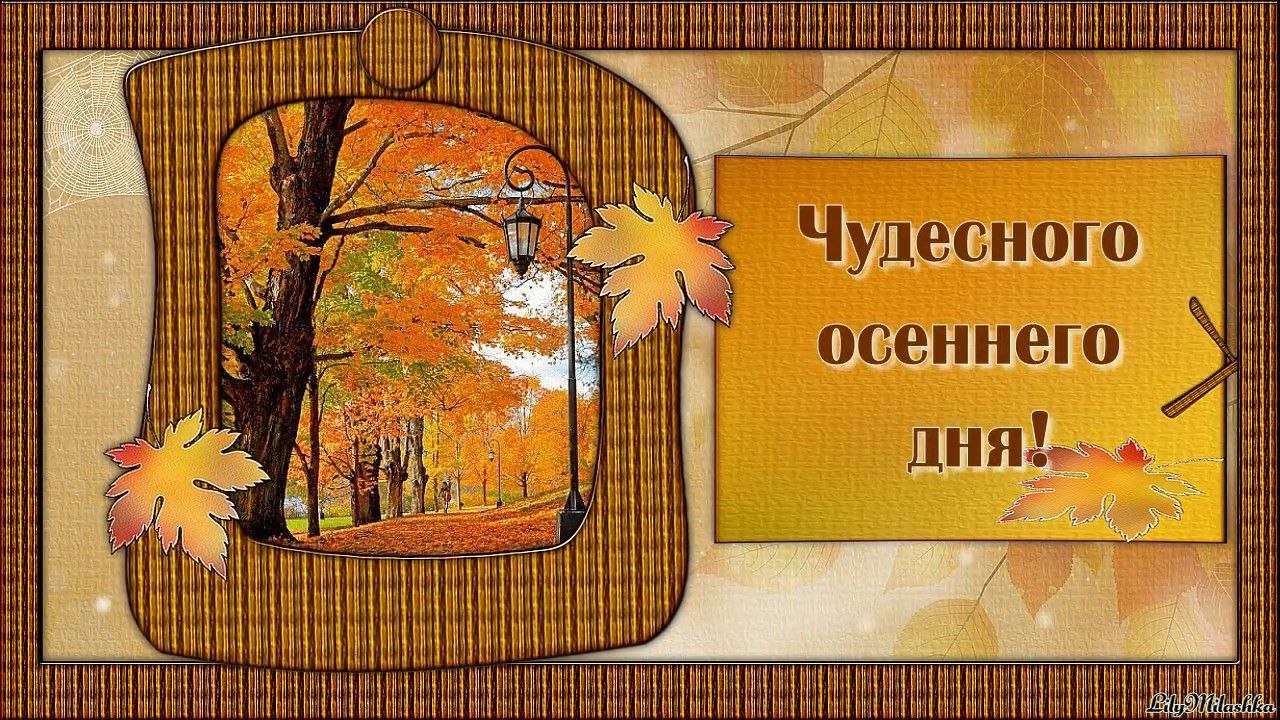   ,    . - 22  2019  23:53
