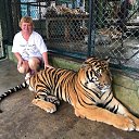 ���� �������, �����������, 63 ���� - ��������� 30 ���� 2019 � ������ ���� ����������