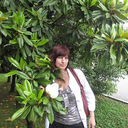 ����, ��������, 58 ���