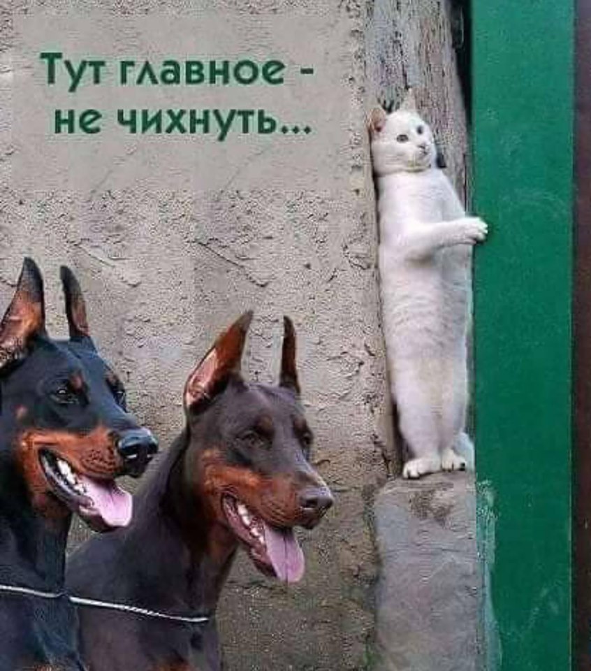 ���)))