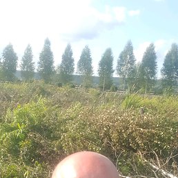 ������, ������, 37 ���