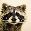 ���� �������, ������� - ��������� 16 ������� 2019