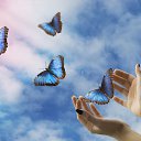 ���� �������, ������� - ��������� 29 ���� 2019 � ������ ������ ��������