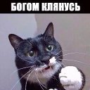  , , 64  -  30  2019    