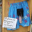 ���� �������, �����, 63 ���� - ��������� 2 ������� 2019 � ������ ������ ��������