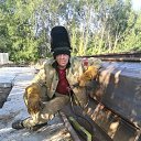 ���� ������, ������, 50 ��� - ��������� 20 �������� 2019 � ������ ���� ����������