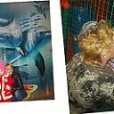 ���� �������, �������� - ��������� 4 ��� 2019 � ������ ���� ����������