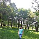 ���� �������, �����, 50 ��� - ��������� 8 ��� 2019 � ������ ���������� ������