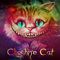 --�����--, ���������, 26 ���