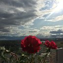 ���� ����, �����������, 50 ��� - ��������� 20 �������� 2019 � ������ ������ ��������