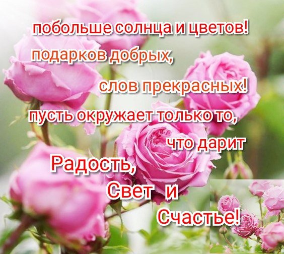   ,    . - 28  2019  13:41