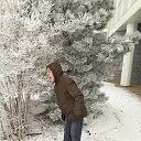 ���� �����, ���������, 66 ��� - ��������� 20 ������� 2019 � ������ ���� ����������