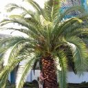 ���� ��������, �����, 62 ���� - ��������� 23 ������ 2019 � ������ ���� ����������