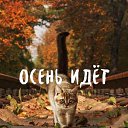 ���� �������, ����� - ��������� 27 ������� 2019 � ������ ���� ����������