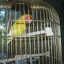 ���� ����, ������� - ��������� 13 ���� 2019 � ������ ����� 2019�