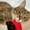 ���� ������, �����-���������, 58 ��� - ��������� 21 ������� 2019 � ������ ���� ����������