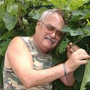 ���� � ��������