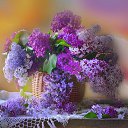 ���� Svetlana, ������ - ��������� 20 ������ 2019 � ������ ������ ��������
