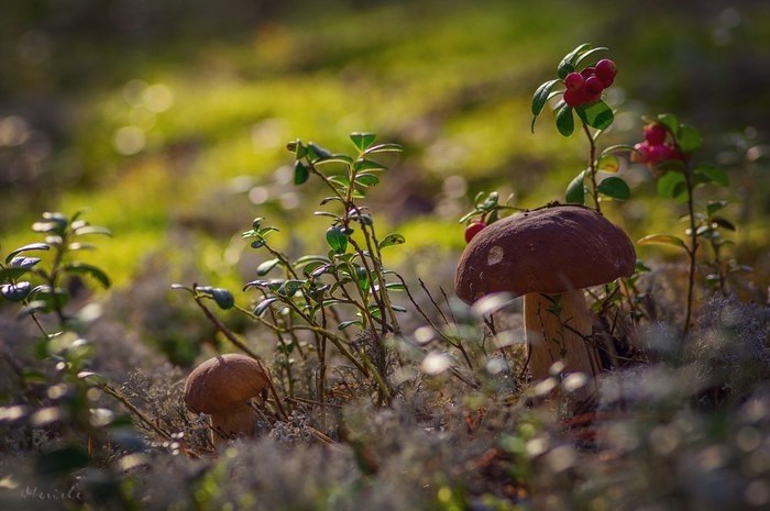 Boooa oa. aoa a aoa. - 4