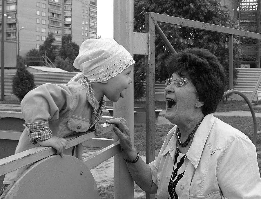  -   ,     , ,  , ... - 5