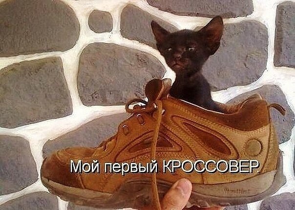    - 14  2019  18:29
