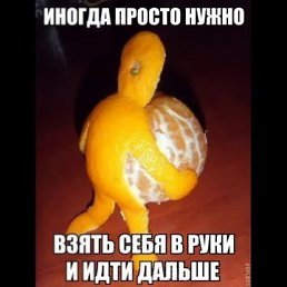 , , 43 