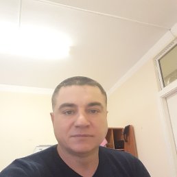���� ��������, ������, 54 ���� - ��������� 7 ������ 2019