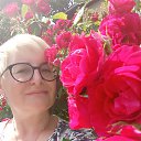 ���� ��������, ����������� - ��������� 5 ������� 2019