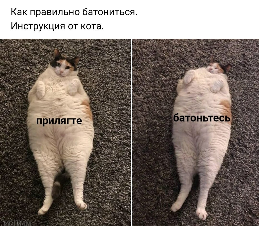 =Fox= - 18  2019  23:10