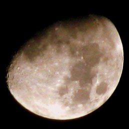 �������, ���������, 39 ���