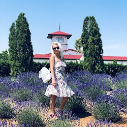 ���� �����, ����������� - ��������� 2 ������� 2019