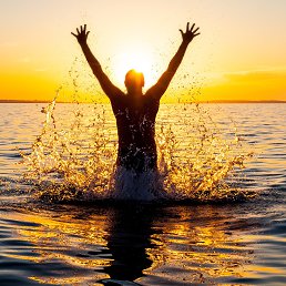 �����, ��������, 40 ���