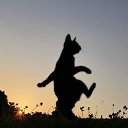 ���� �, ����� - ��������� 21 ���� 2019 � ������ ���� ����������