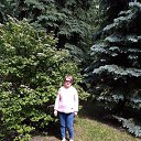16.06.2019�.���� ������� �� ������� ���������� ������