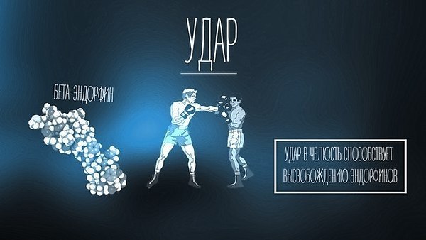 Нейробиологические советы по поднятию настроения. - 4